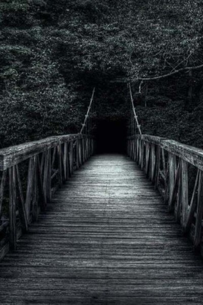 DARKING WAY<p>(Hungary)<p>BEST FEATURE FILM<p>Zsolt Pozsgai