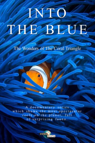 INTO THE BLUE<p>(Spain)<p>2 AWARDS<p>Robert Fonollosa & Álex del Olmo