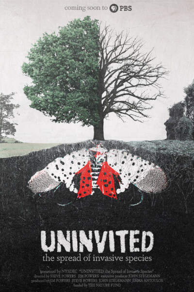 Uninvited: The Spread of Invasive Species<p>(USA)<p>BEST DOCUMENTARY CINEMATOGRAPHY <p>Jim Powers