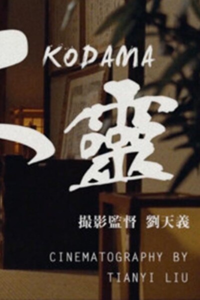 KODAMA<p>(USA)<p>2 AWARDS<p>Tianyi Liu