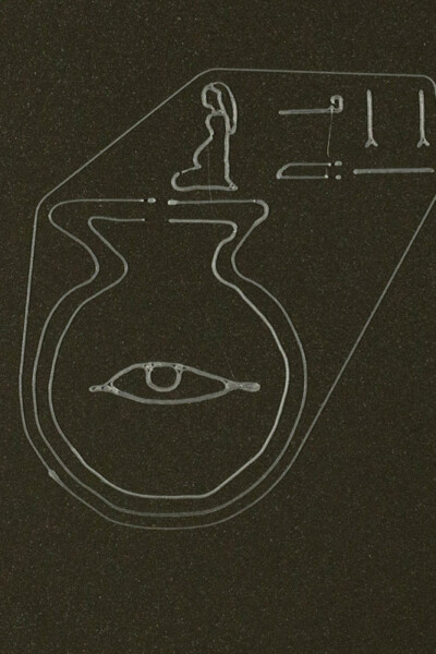 RETINA IN VITRO<p>(Poland)<p>2 AWARDS<p>Piotr Bosacki